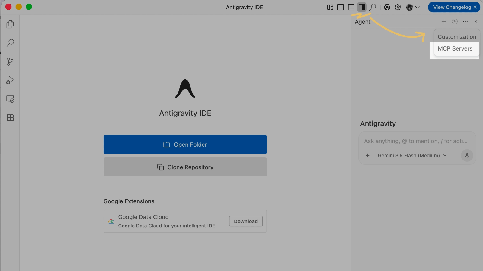 Antigravity AI IDE
